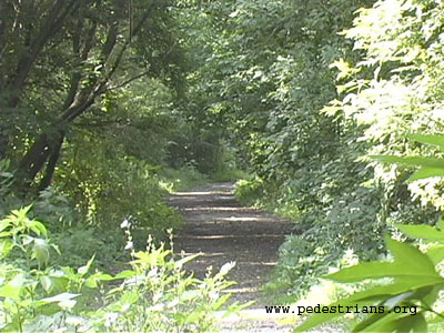 Beer Line Trail